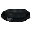 Raymond Waist Bag